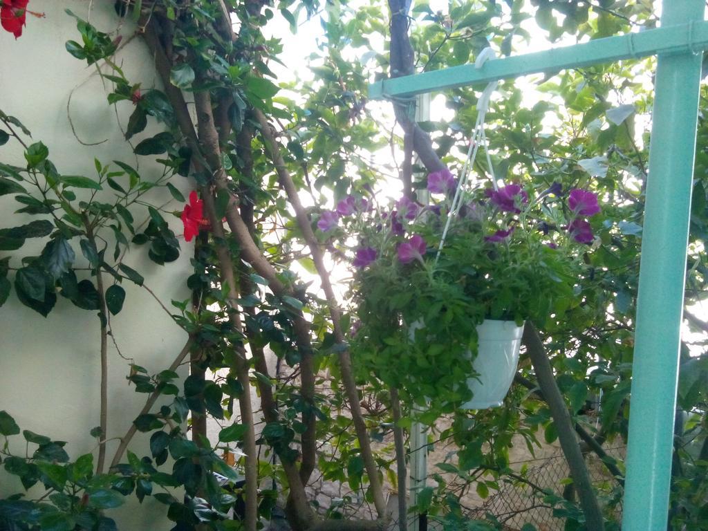 Mary'S Studios Agia Pelagia  Buitenkant foto